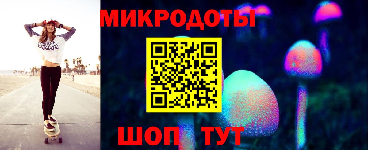 Галлюциногенные грибы Psilocybe Пушкино